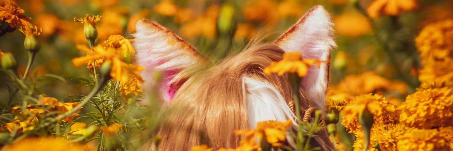 erin_coser's profile banner image