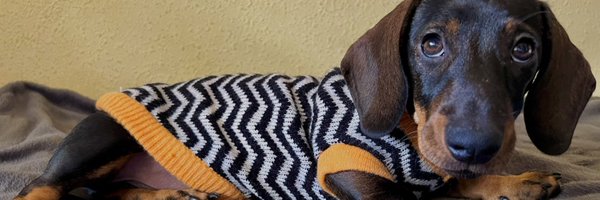 alextxx_ Profile Banner