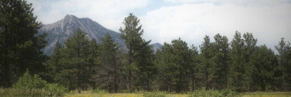 KaitlynStratman's profile banner image