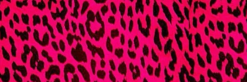 fran_stein_'s profile banner image