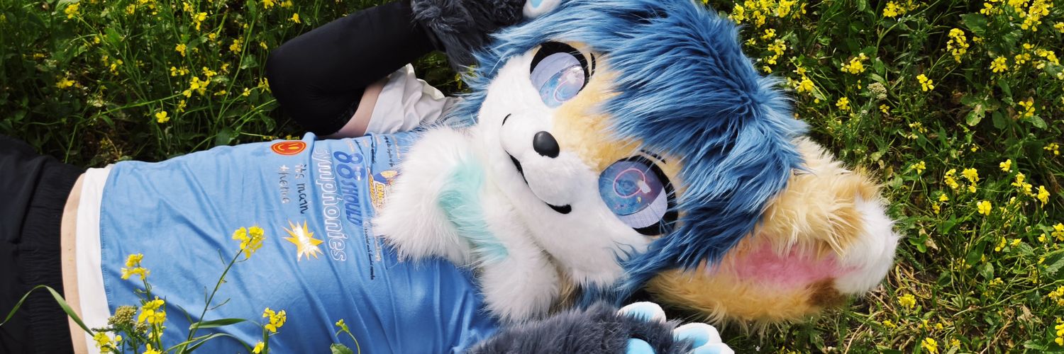 Real_Even_fur banner