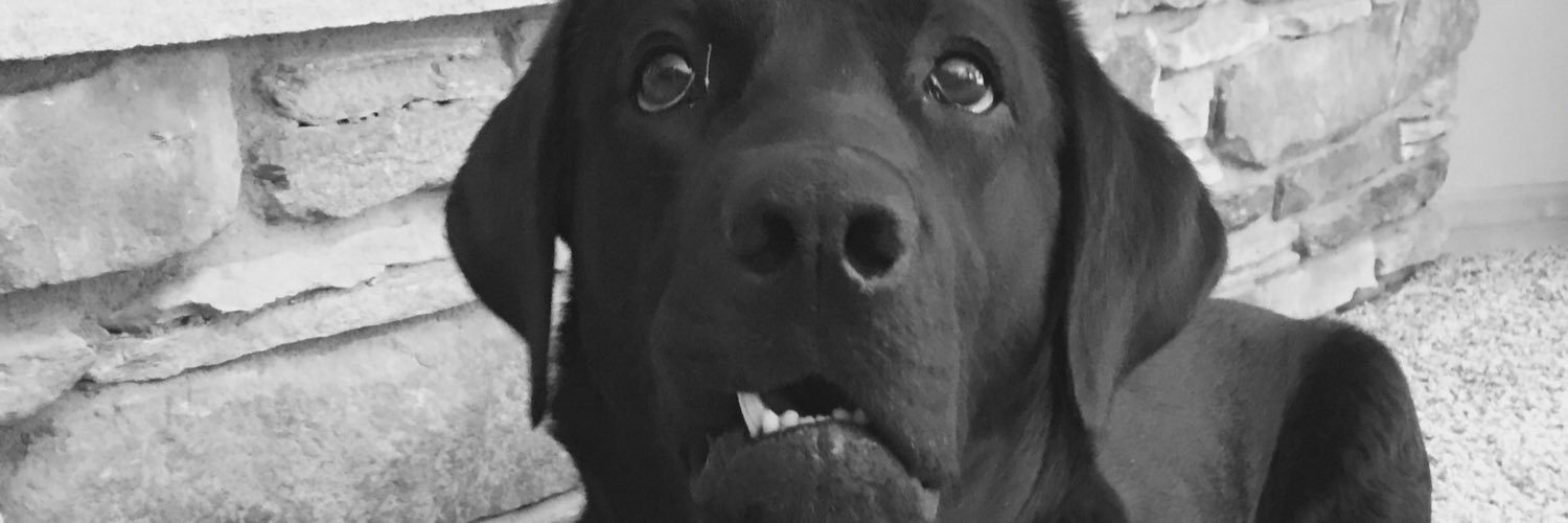 macydgray's profile banner image
