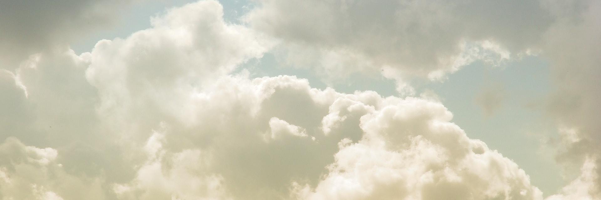 KestralRose banner