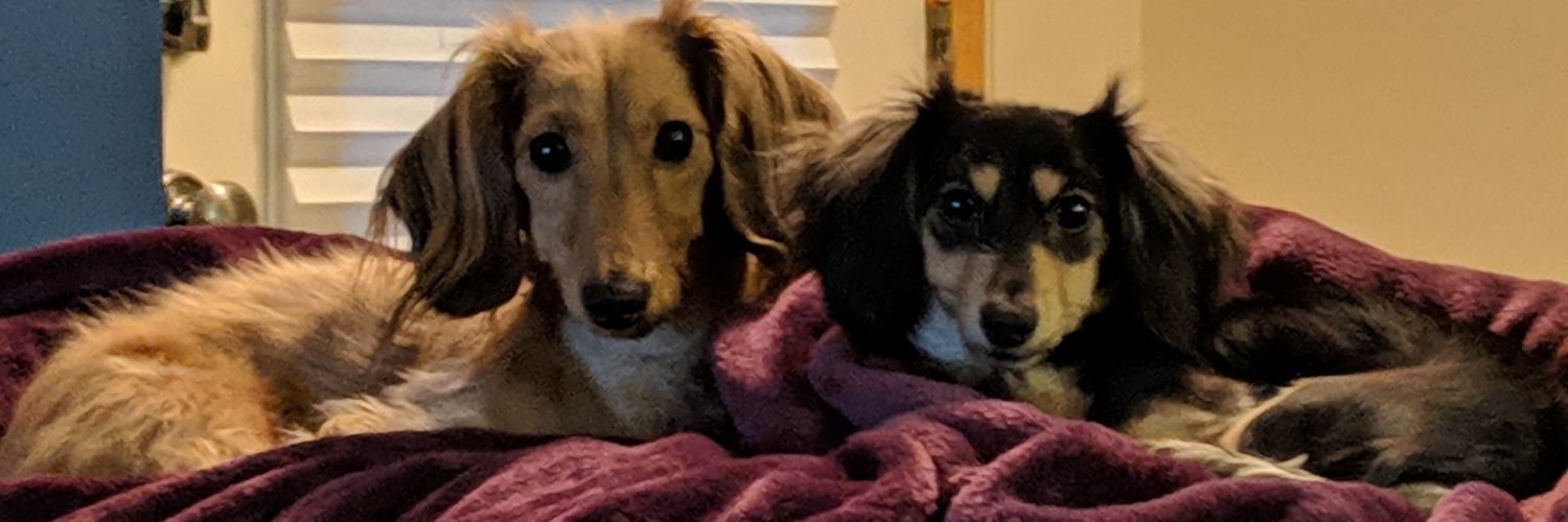 Kels_Grachek's profile banner image