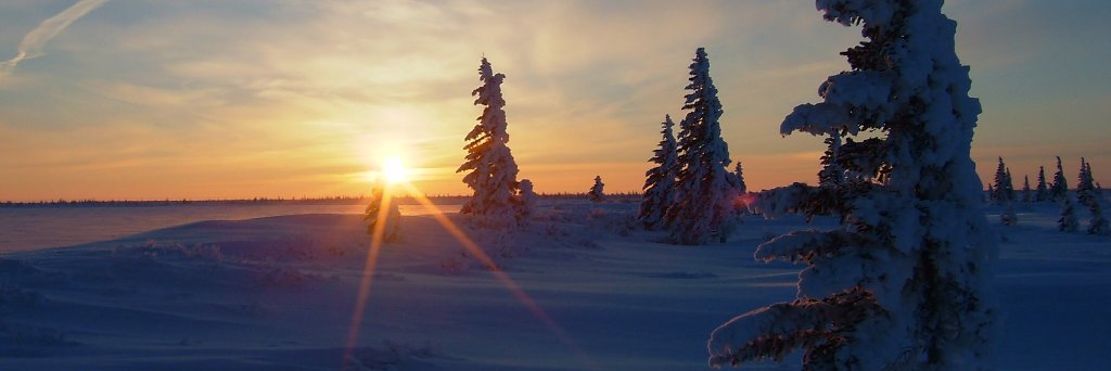 Dr Mel Sandells banner