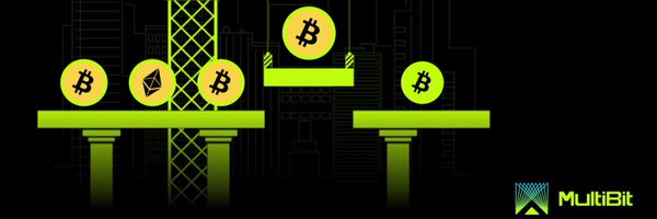 Multibit_Bridge Profile Banner