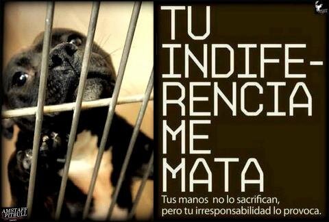 cristinafc_'s profile banner image