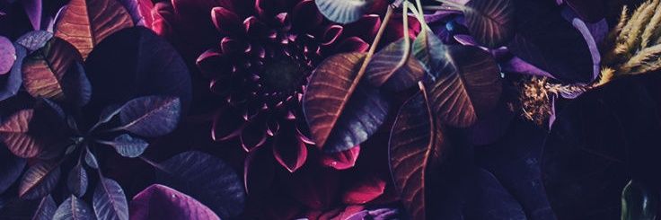 gwenstyles's profile banner image