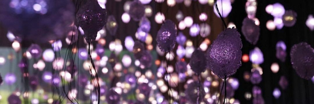 Morganprinty's profile banner image