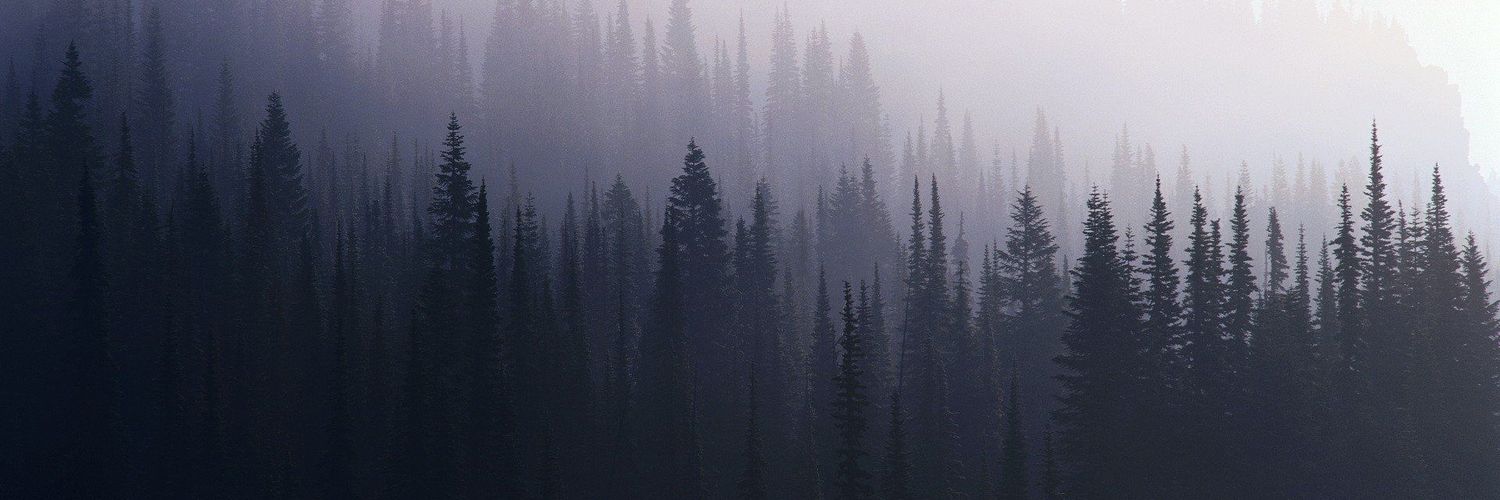 MasonJvnx's profile banner image