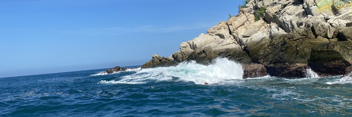 ReginaDlsj's profile banner image