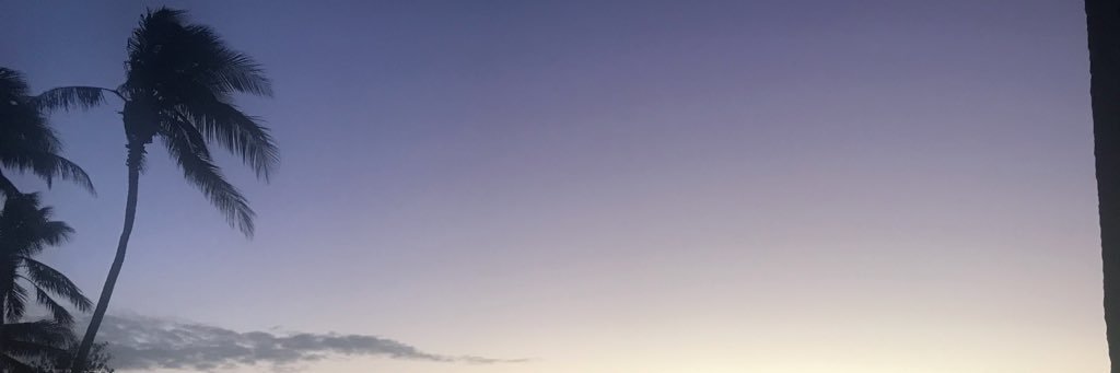 stephanieterps's profile banner image