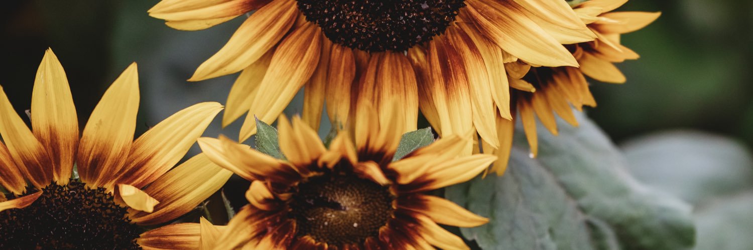 ur_a_beaut's profile banner image