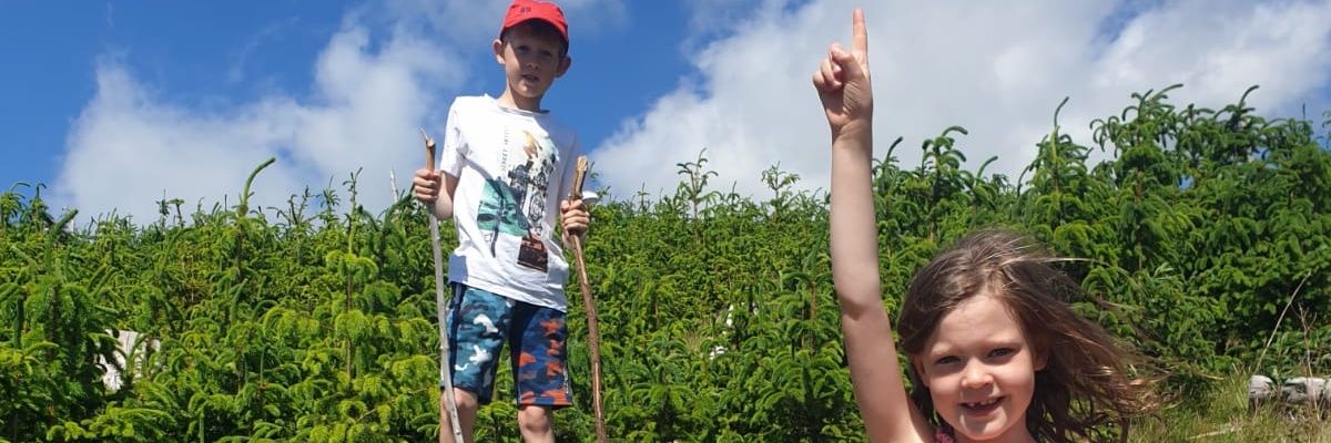 lins_aka_pins's profile banner image