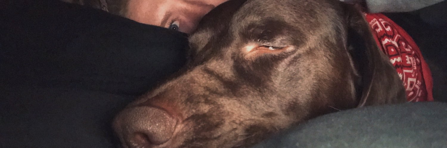 jesssdooitt's profile banner image
