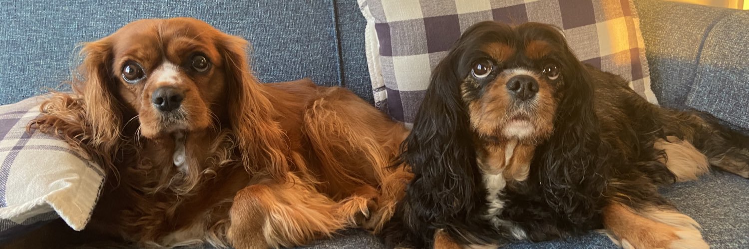 🇮🇱☘️IrishSix☘️🇮🇱 banner