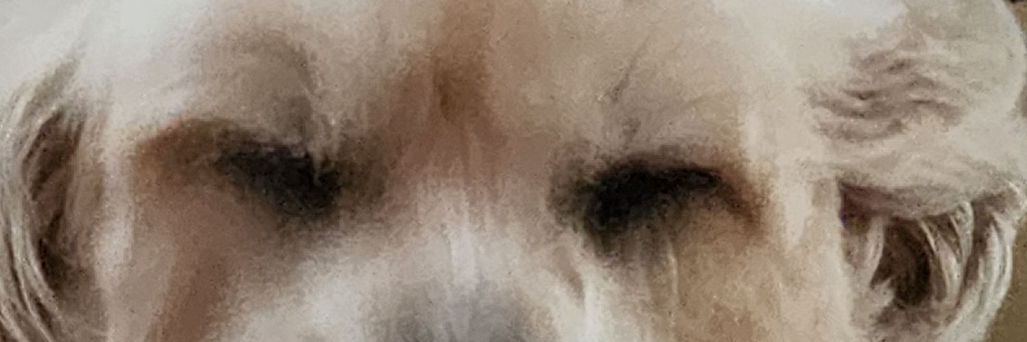 guibras◤✠◢ banner