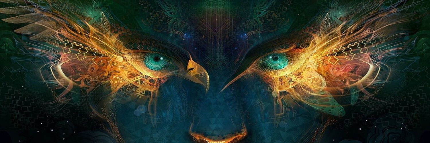 pacotoxicok's profile banner image