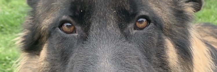 hanndamann's profile banner image