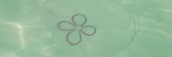 iiHeartPolitics Profile Banner