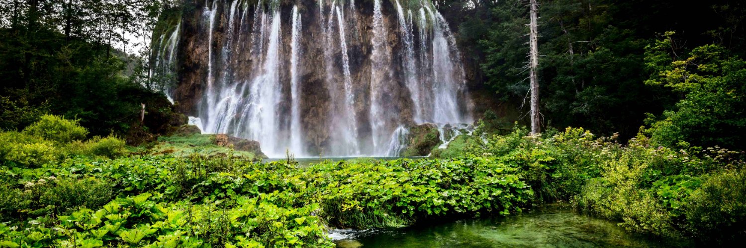 Monserrat Gibbs banner