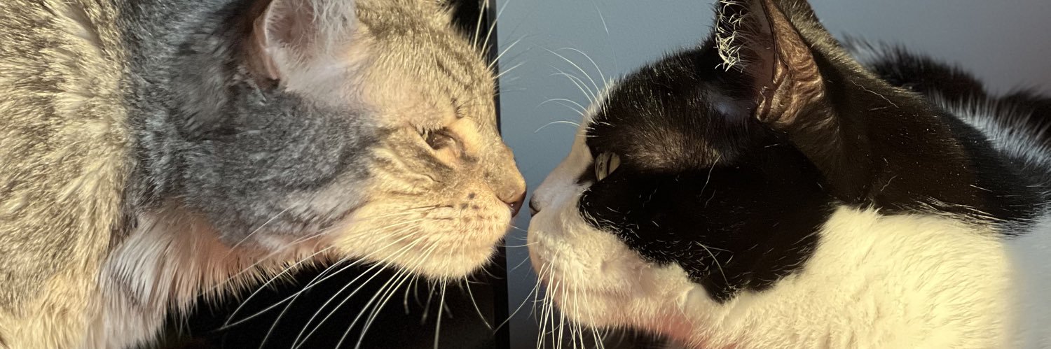 𝑳 𝒂 𝒖 𝒓 𝒂 banner