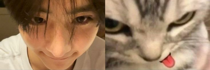 evilsangwon's profile banner image