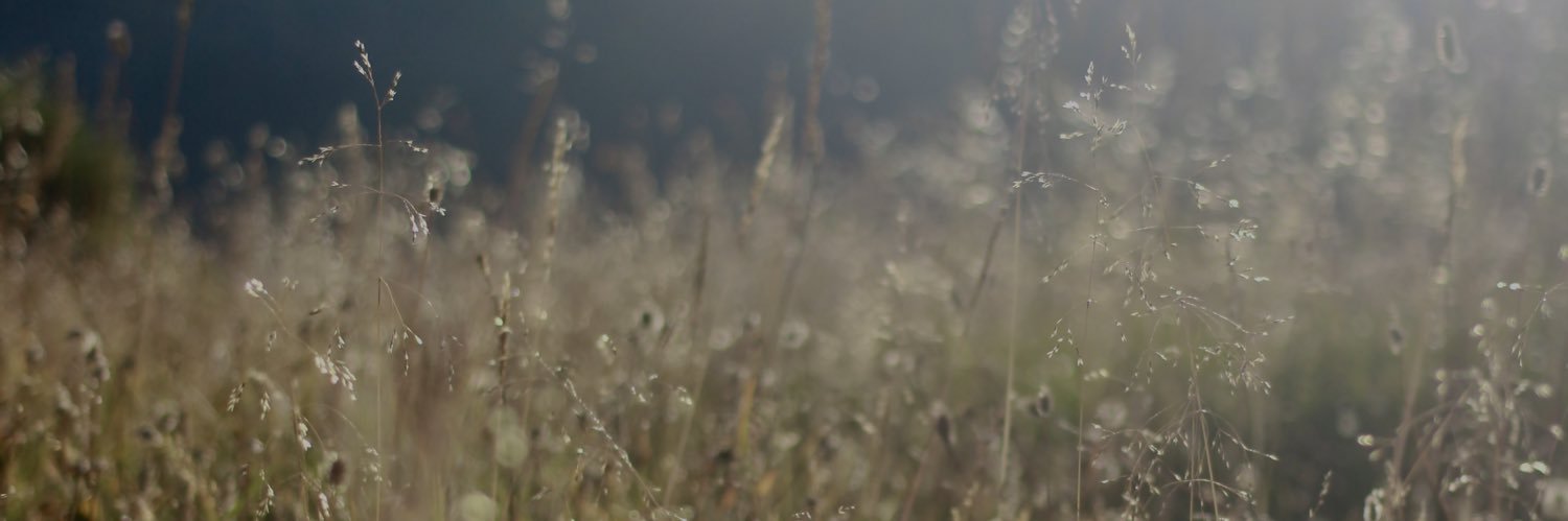escottieb's profile banner image