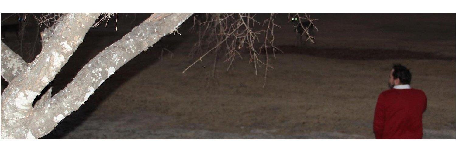 armstrdj's profile banner image