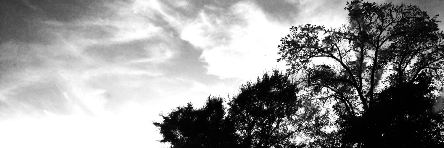 CacyJo09's profile banner image