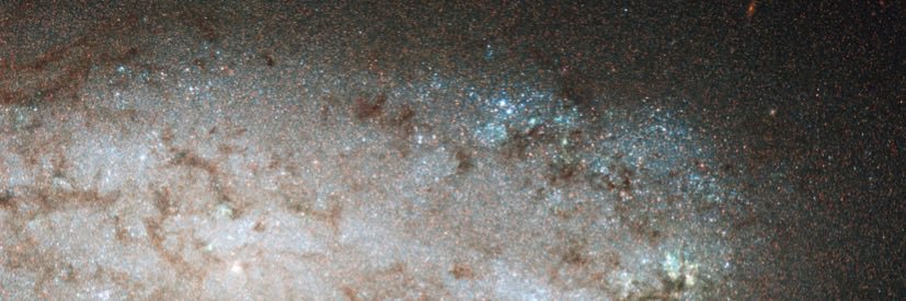 the sweetest thing banner