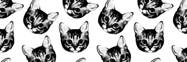 oliviaaaaa_rose's profile banner image