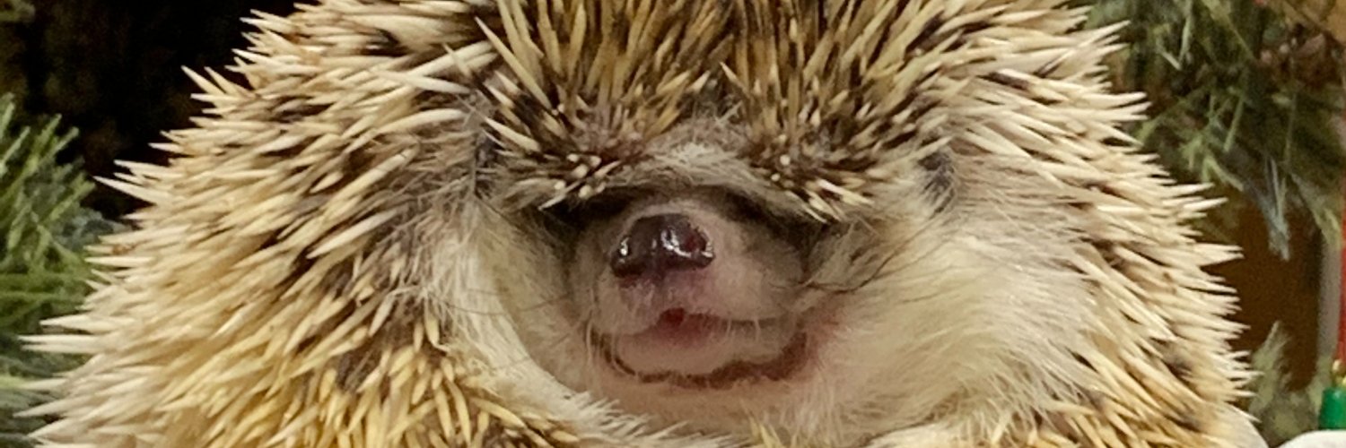 6qh00's profile banner image
