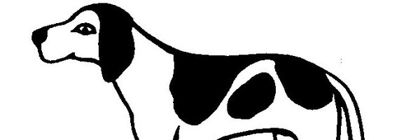 AuroraR8AD Profile Banner