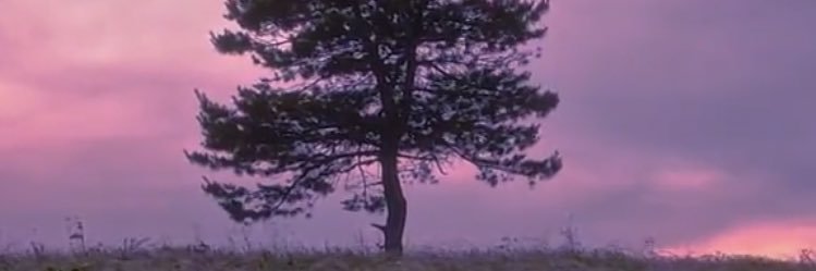 kyle_wavershak's profile banner image