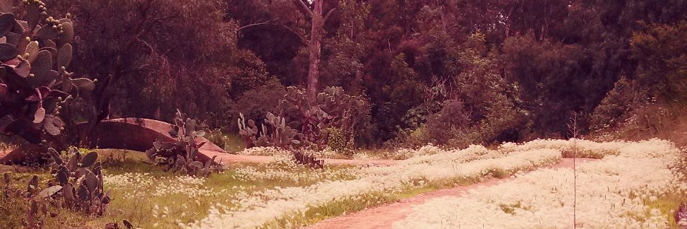 bertoca's profile banner image