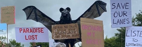 Stop Gillyflower banner