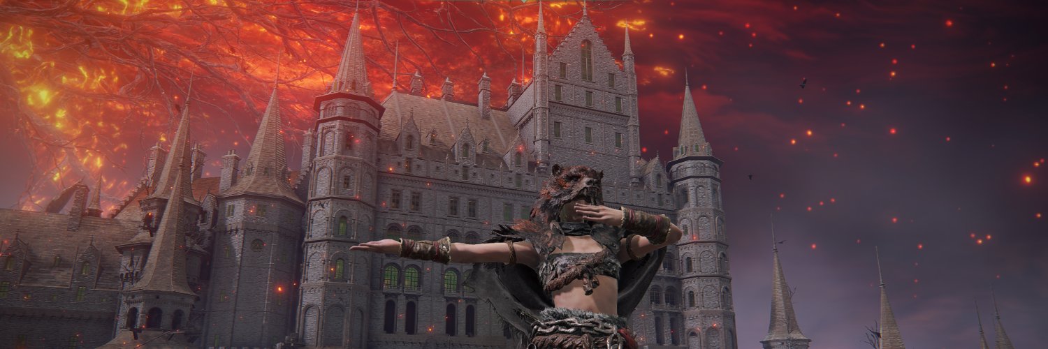 Zênite banner