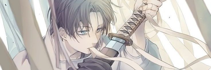 pdrow banner