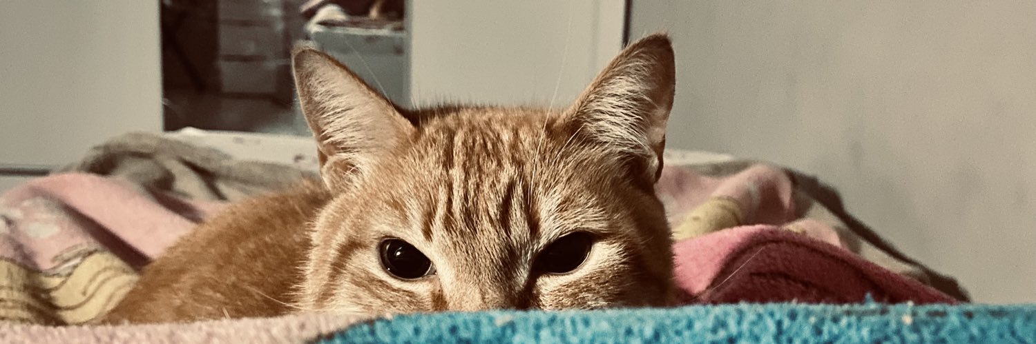 emi banner