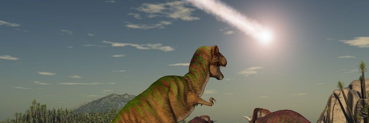 배자그린 banner