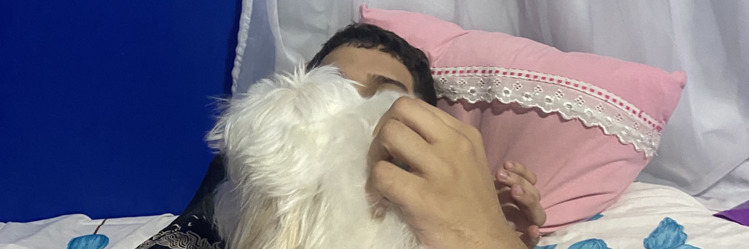 senhora batata banner