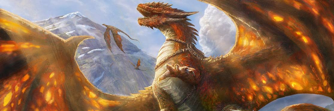 Blaze Longfang banner