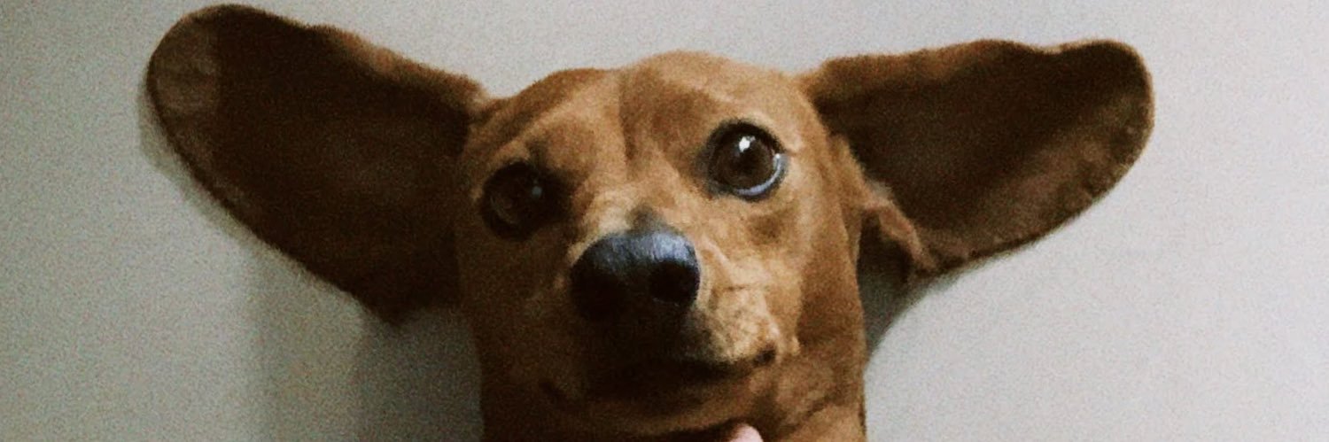 dandaramatter's profile banner image