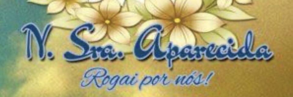 Maria Helena Cruz Macedo banner