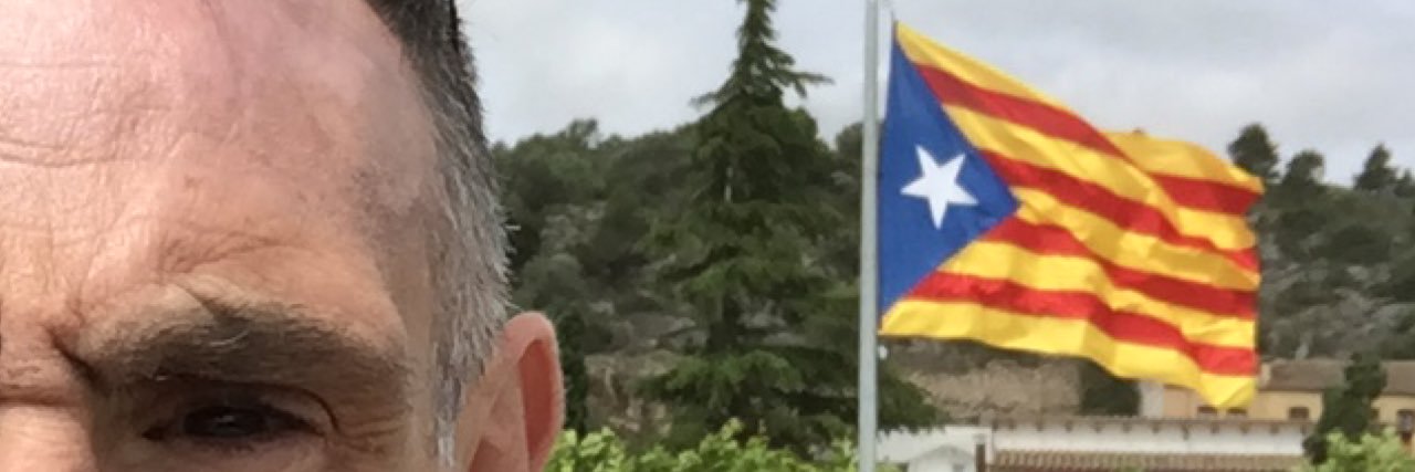 Pep Ribes banner
