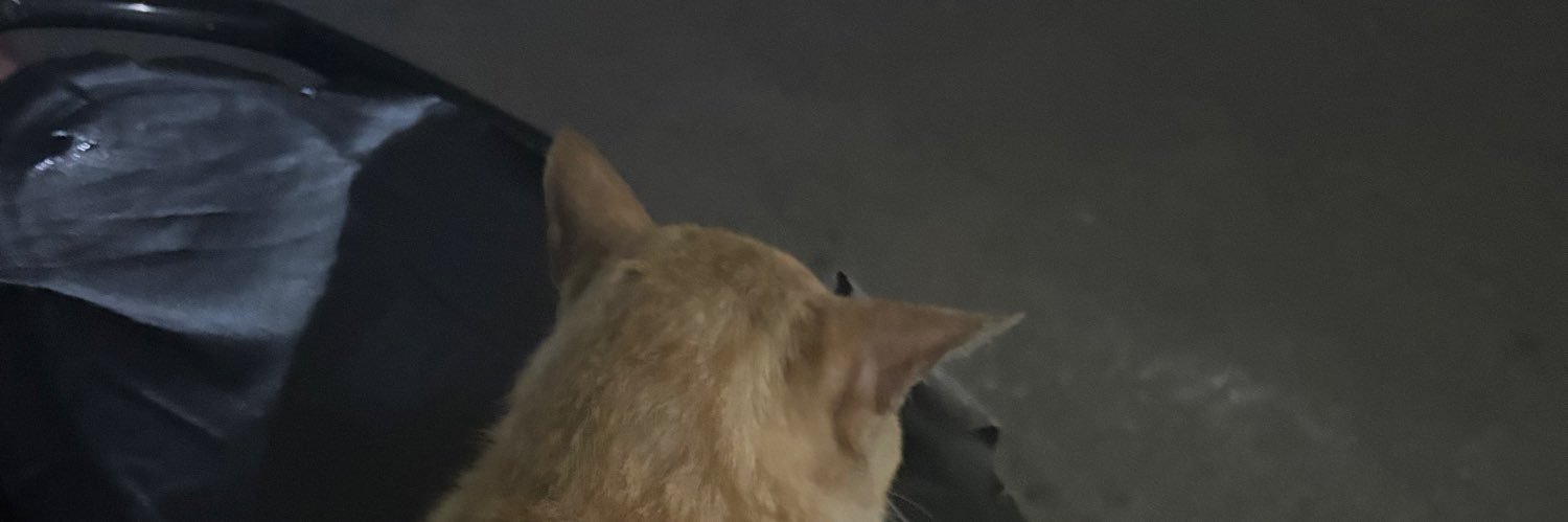 zoi banner