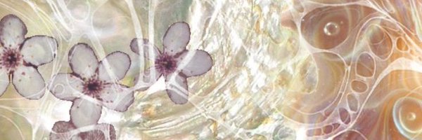 yyeojincals Profile Banner
