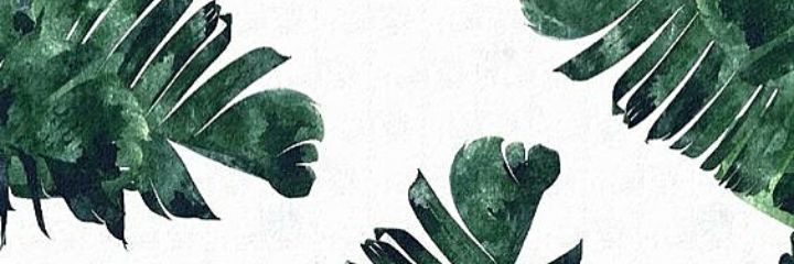 ⓔⓛⓘ banner