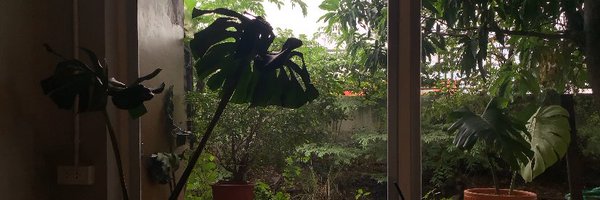 ch0eytw Profile Banner